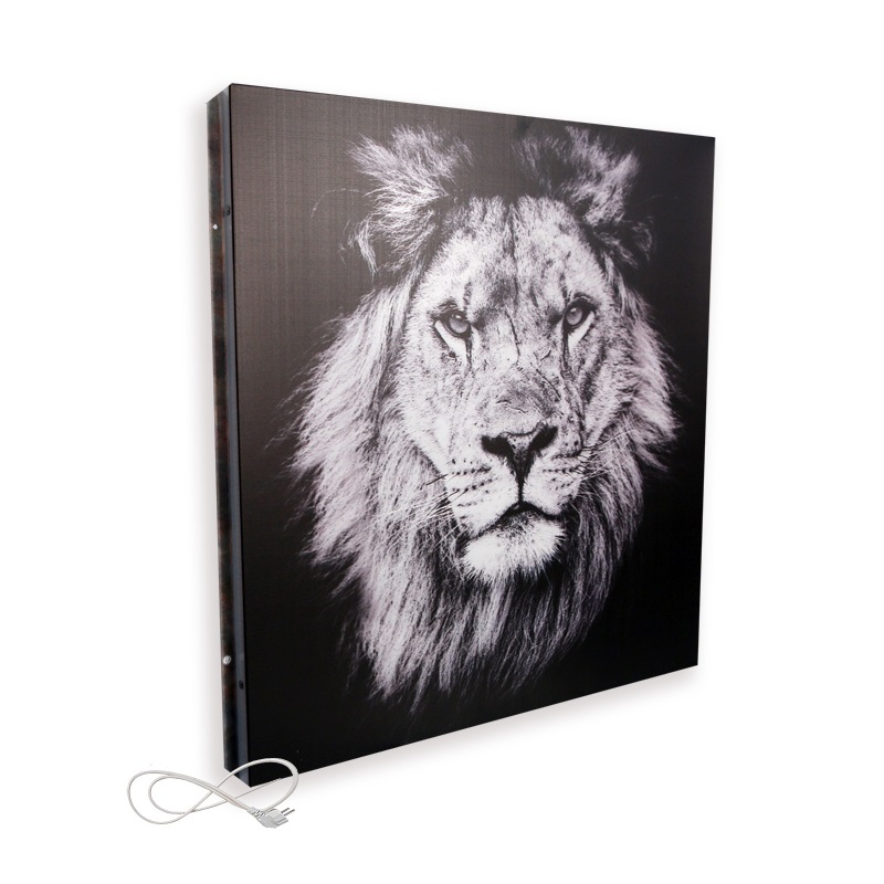 СТЕП-250/0,59 x 0,59 УФ-печать инфракрасный обогреватель