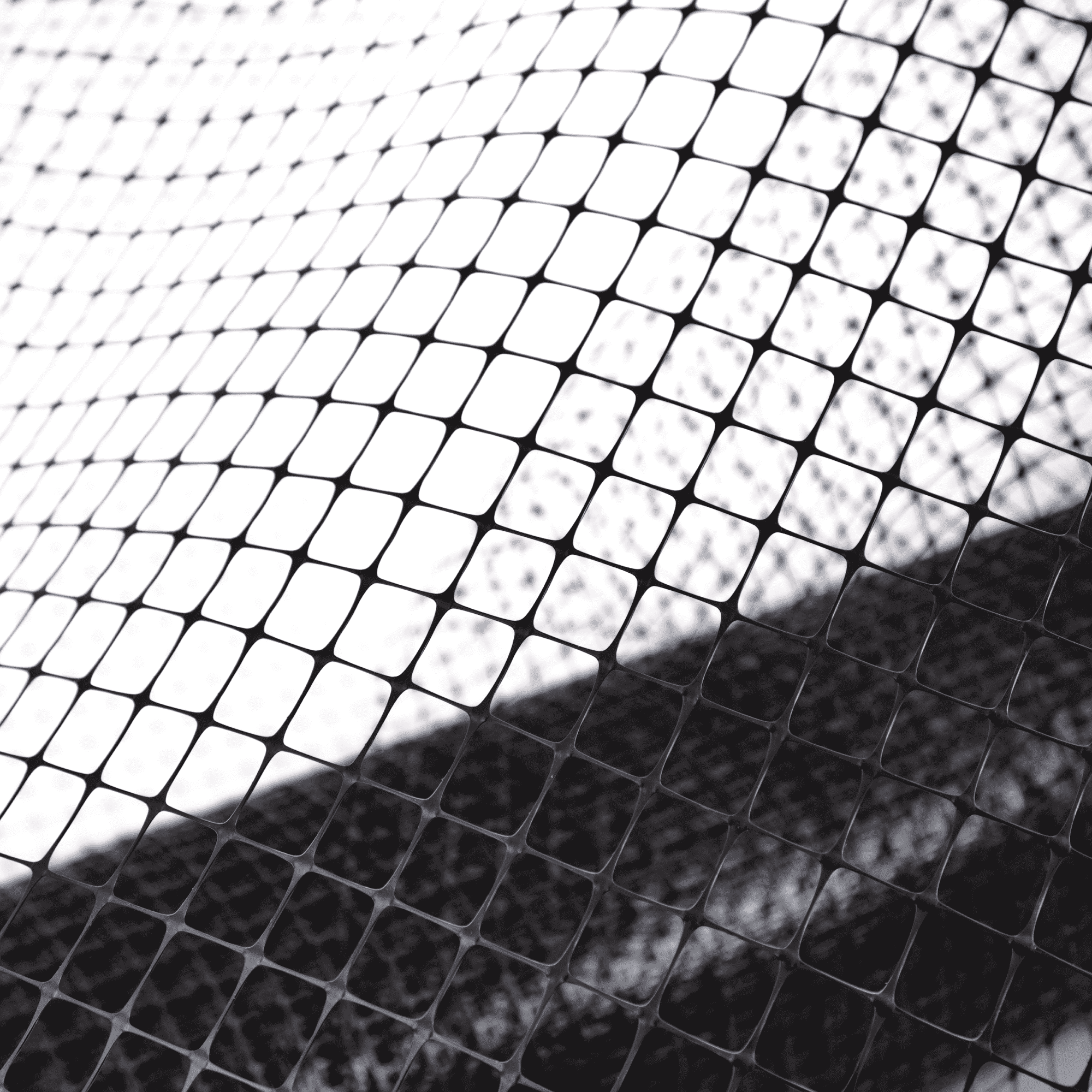 Сетка для ландшафтного дизайна Alfasetka 2х100