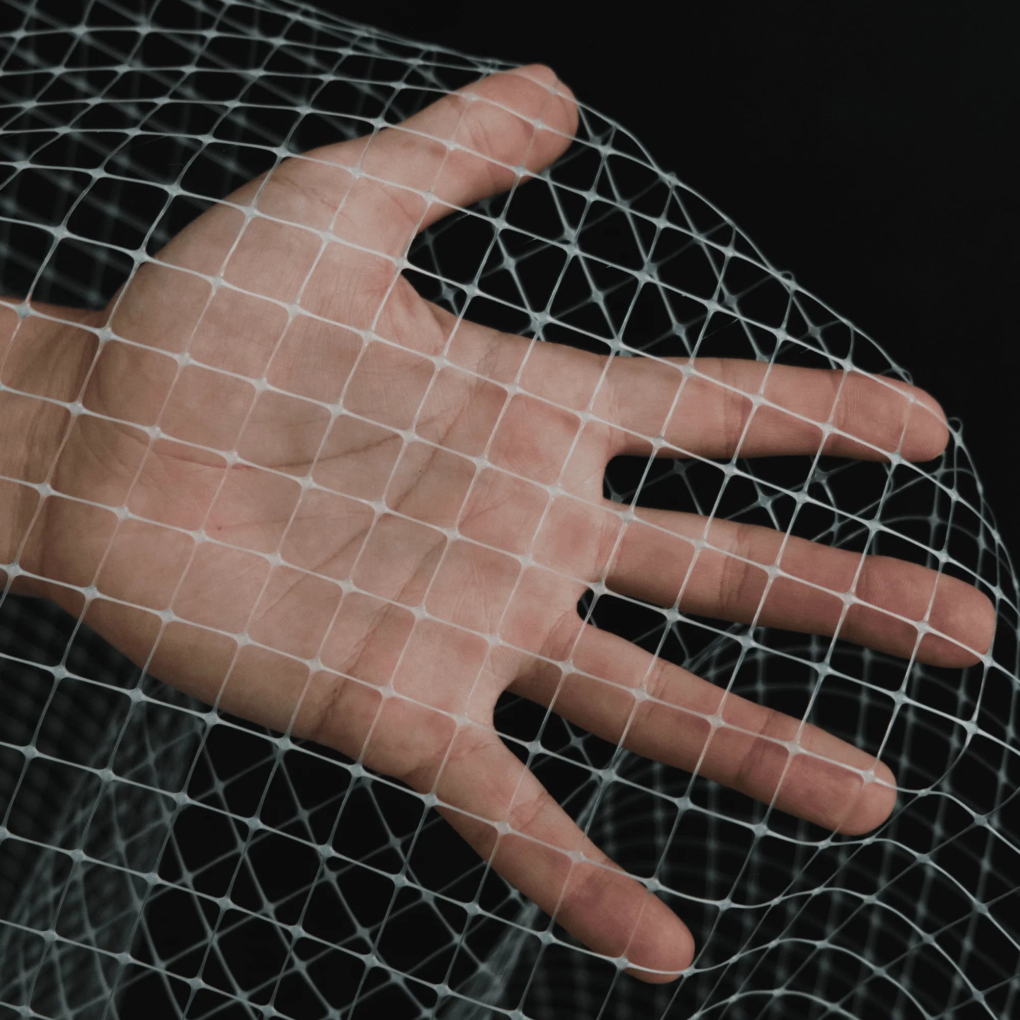 Текстильная сетка Alfasetka 2х50