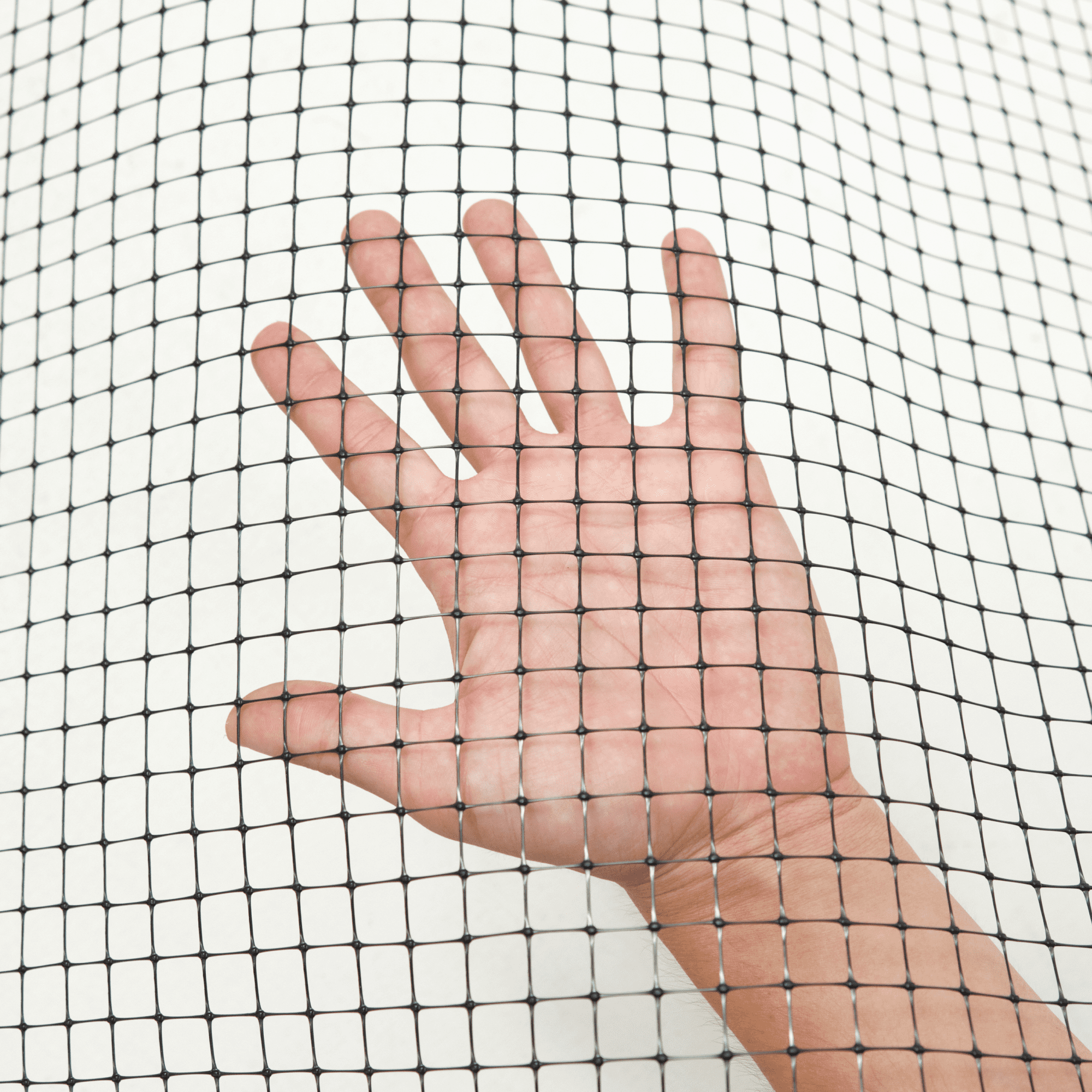 Сетка от кротов Alfasetka 2х50