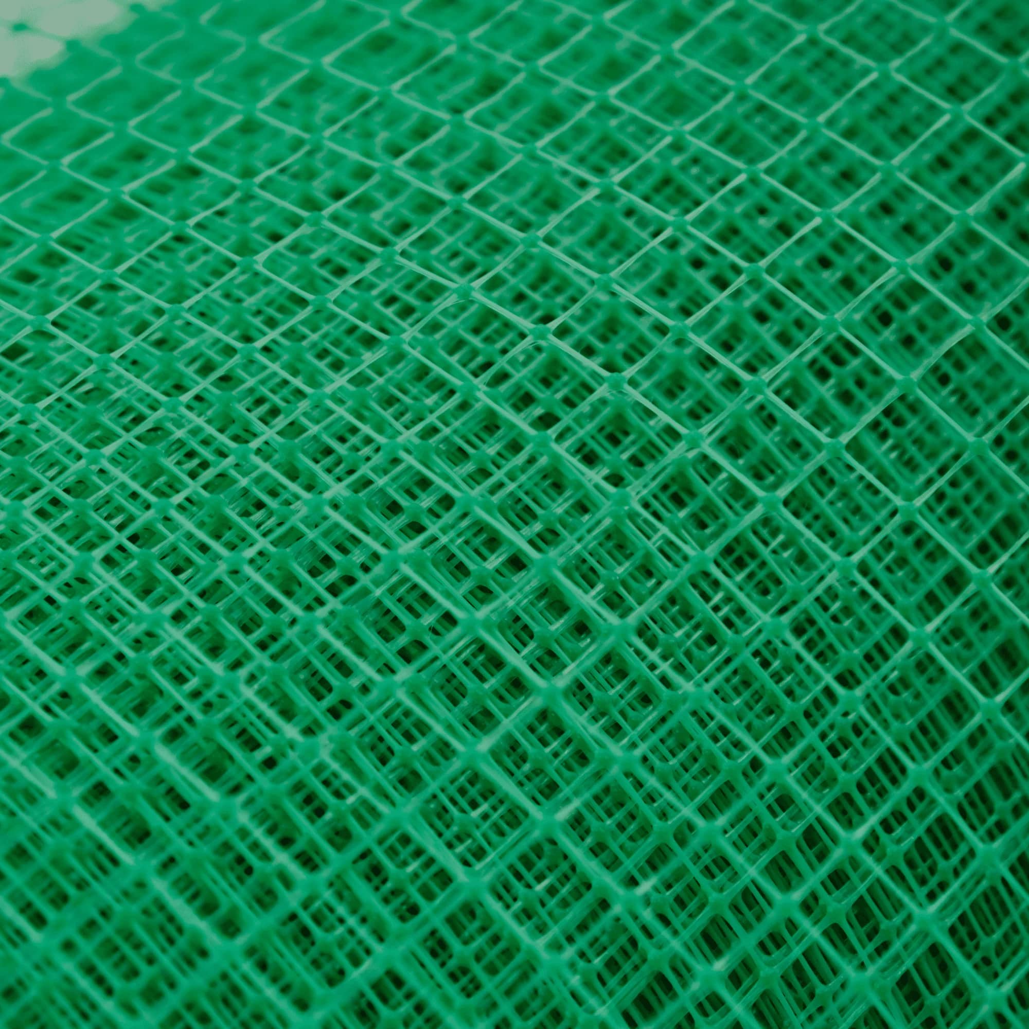 Пластиковая сетка Alfasetka 1х50