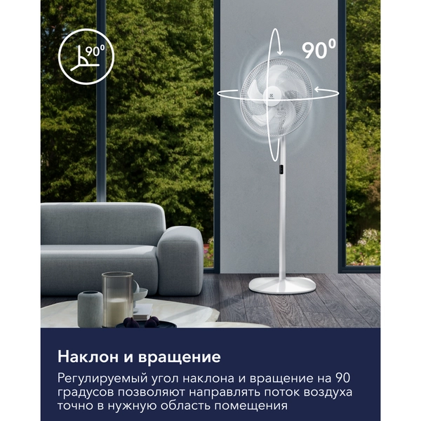 2026050807173247118.webp