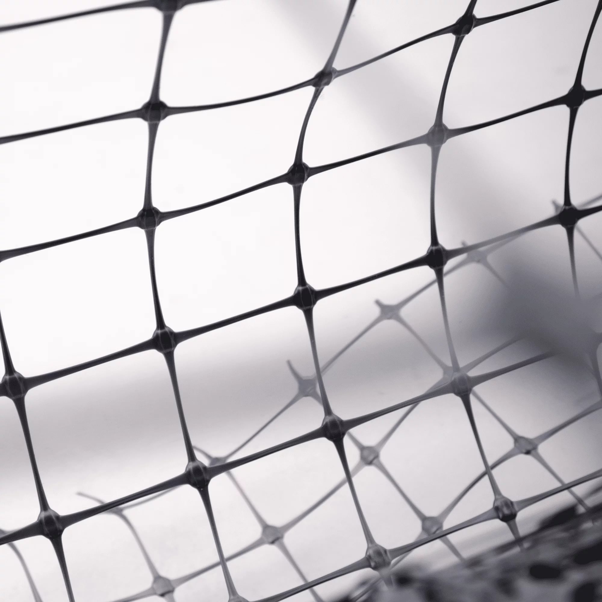 Геосетка Alfasetka 4х50