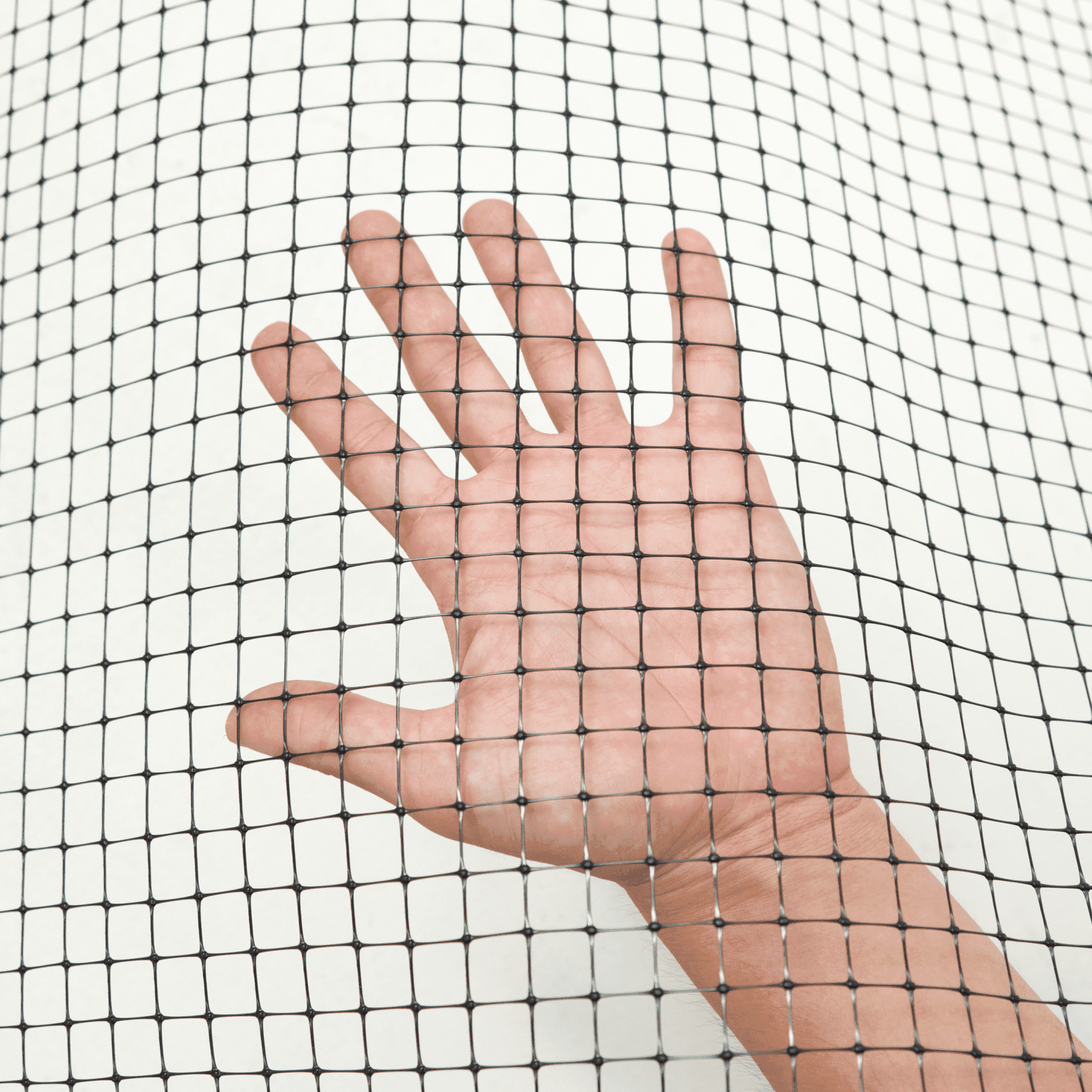 Сетка для птичников Alfasetka 1х20