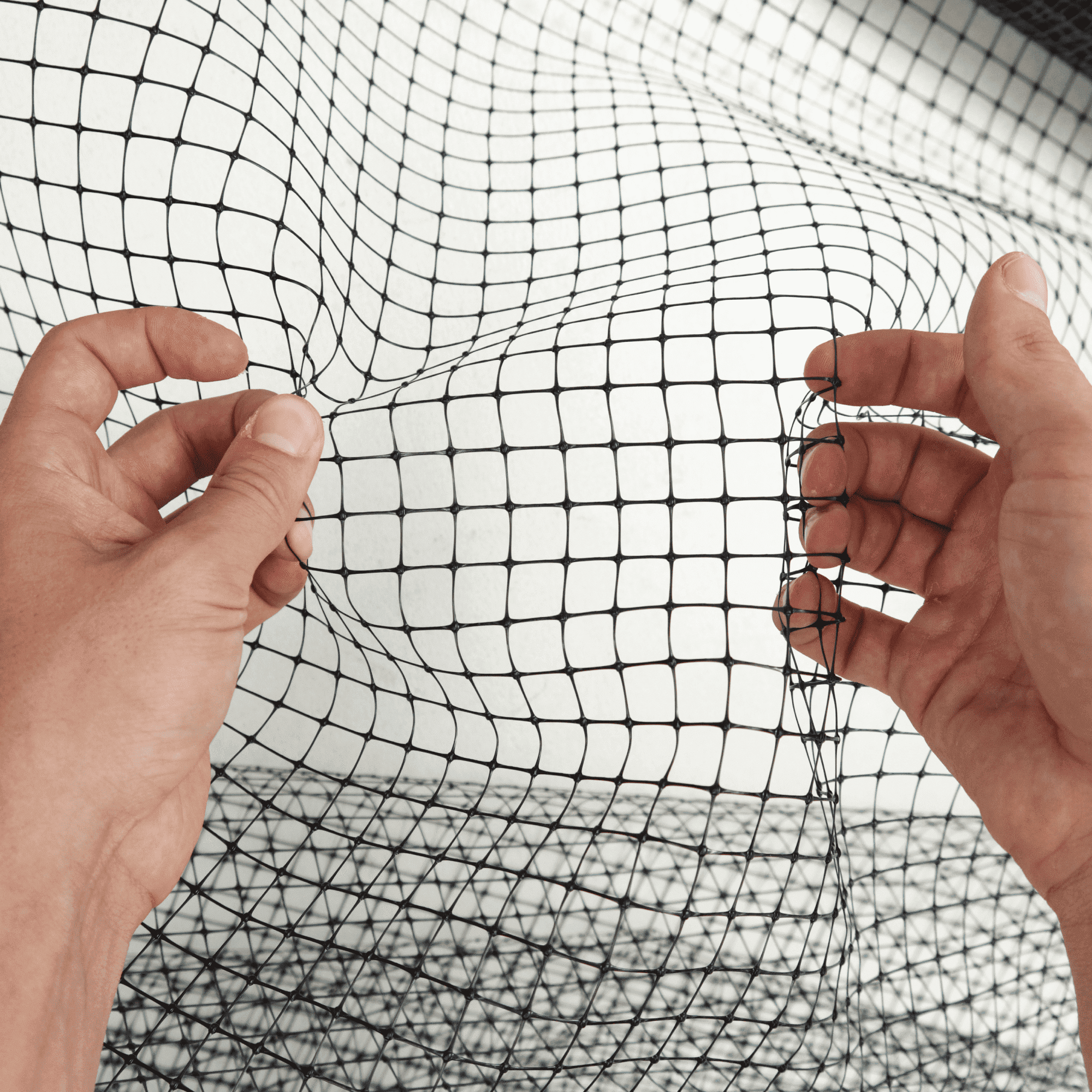 Сетка для птичников Alfasetka 2х50