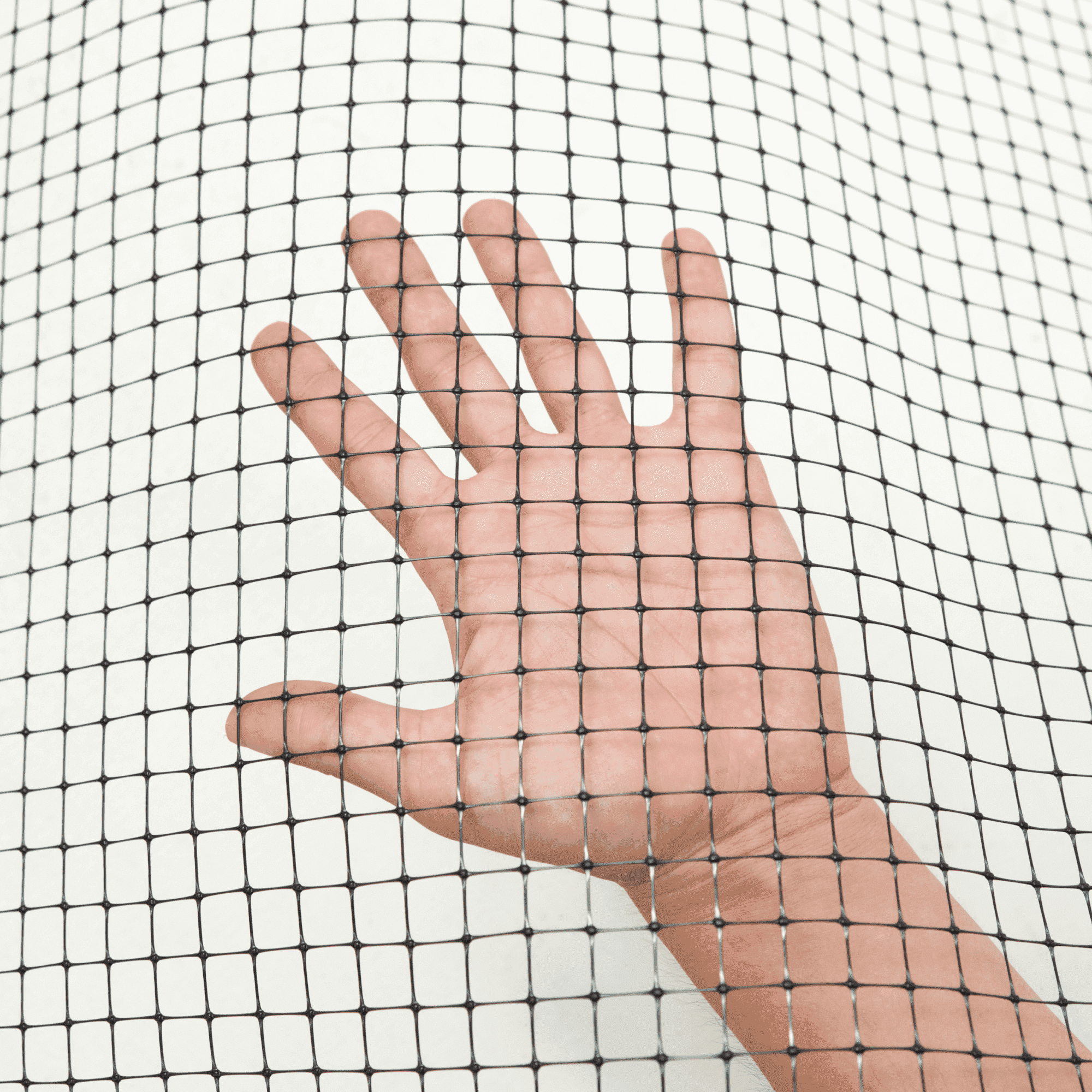 Сетка для ландшафтного дизайна Alfasetka 2х100