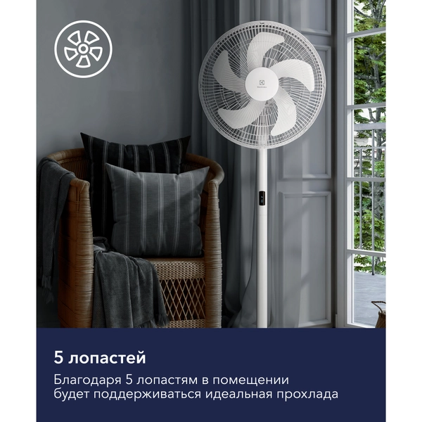 2026050807173143187.webp