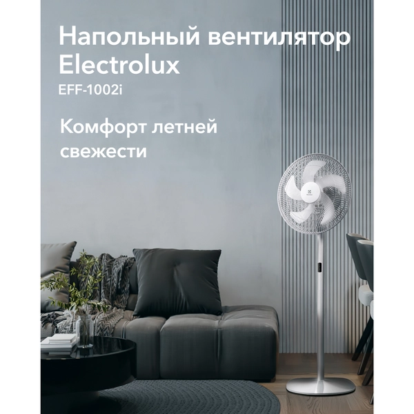 2026050807172984649.webp