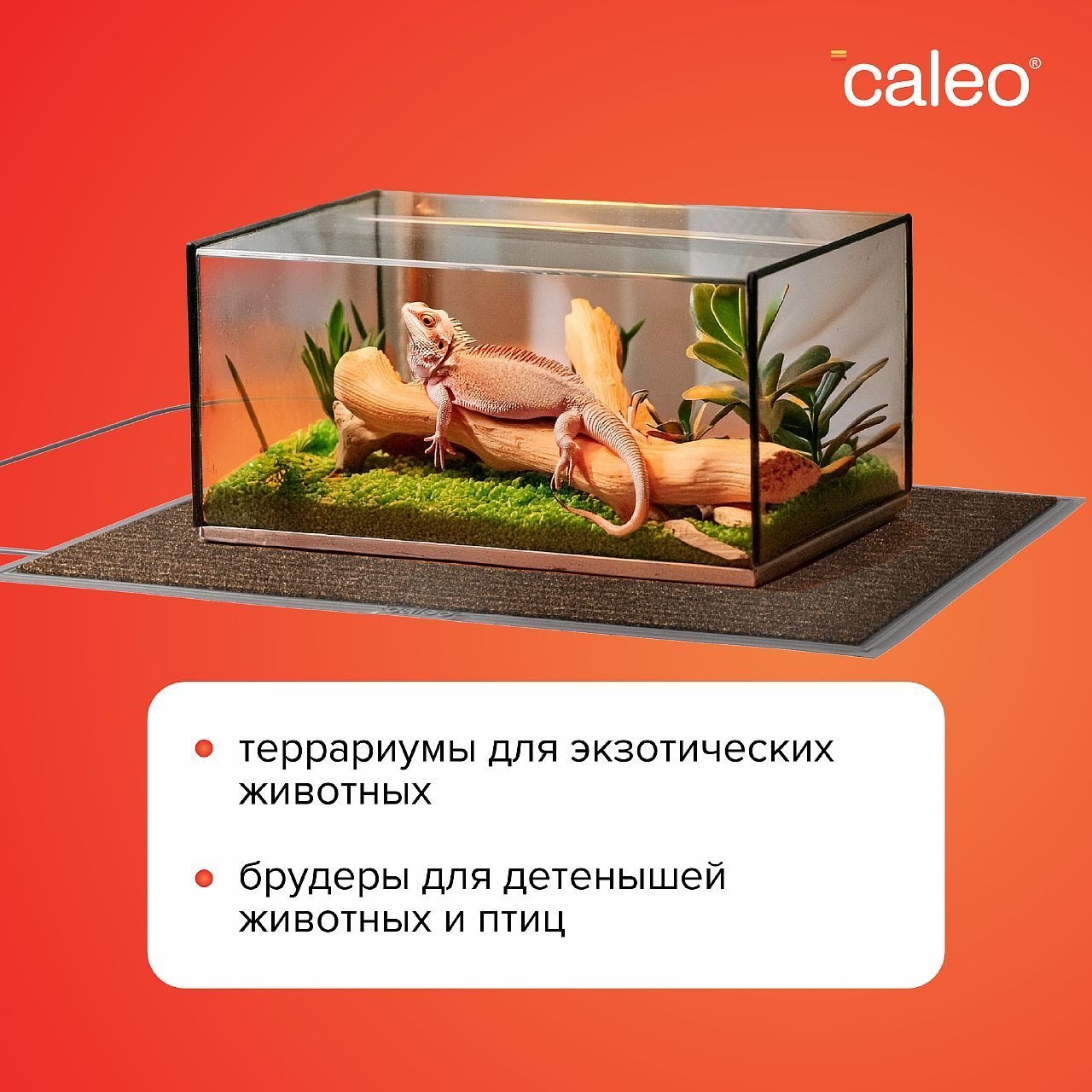 CALEO 40х60 см., мобильный теплый пол, коричневый