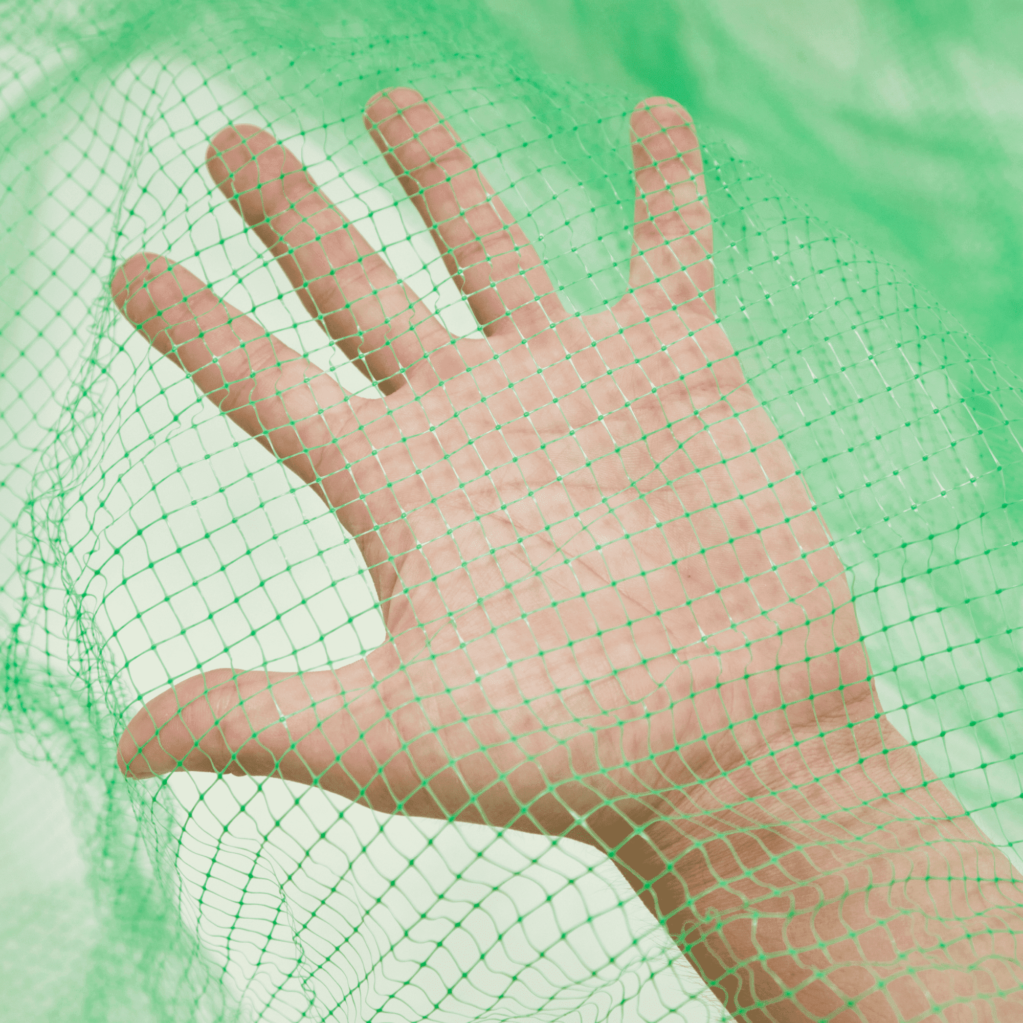 Противоградовая сетка Alfasetka 2х50