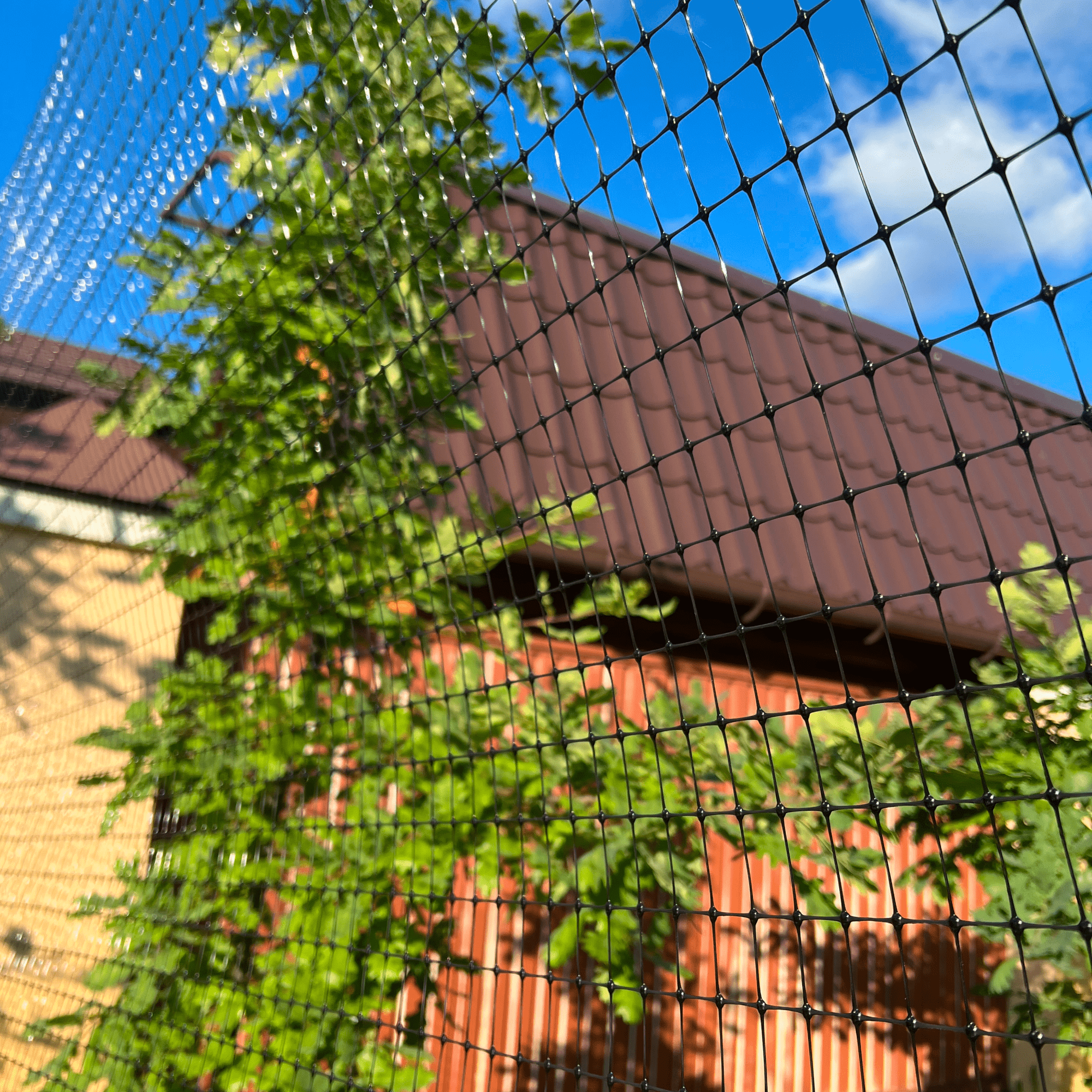 Универсальная сетка Alfasetka 2х20