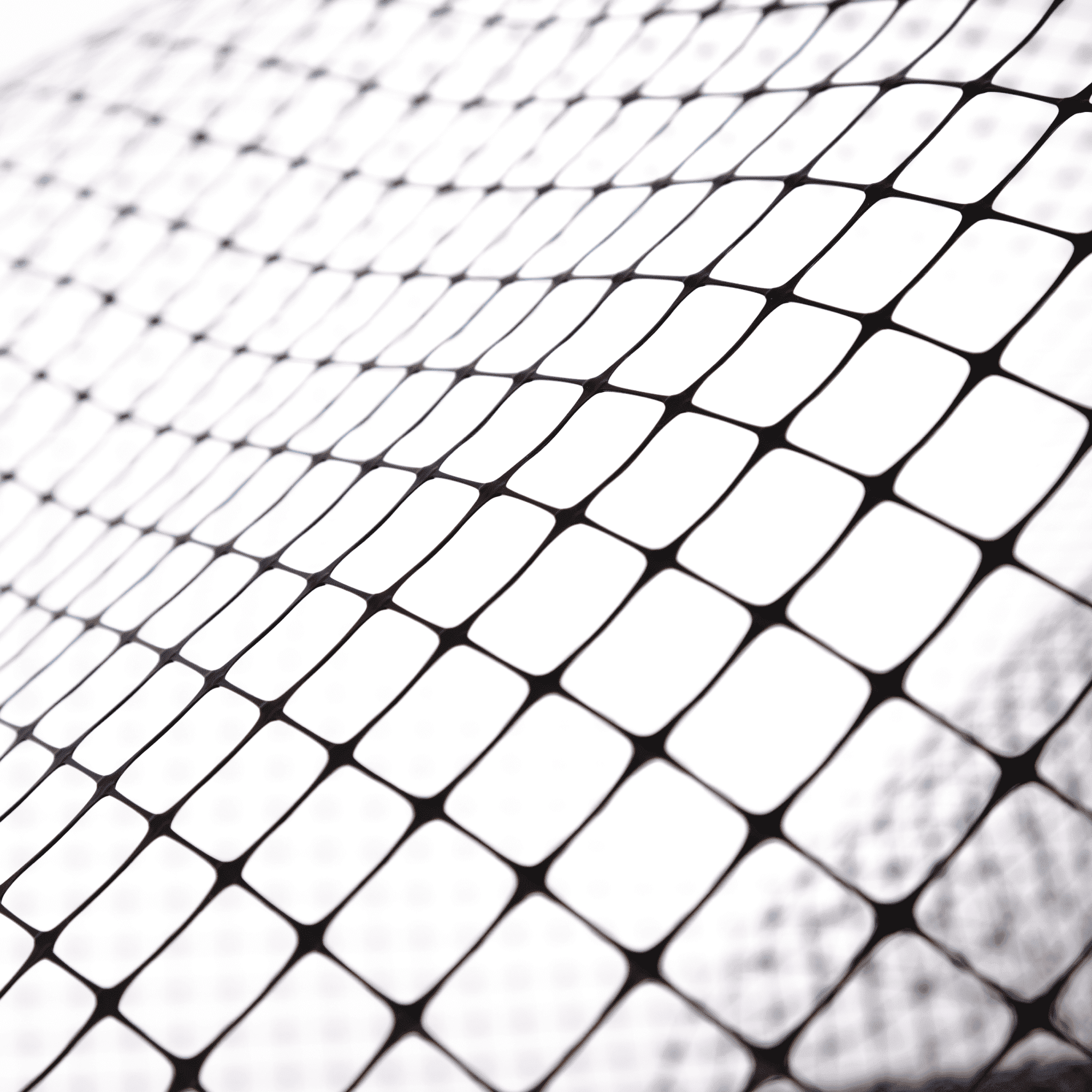 Сетка для птичников Alfasetka 2х10