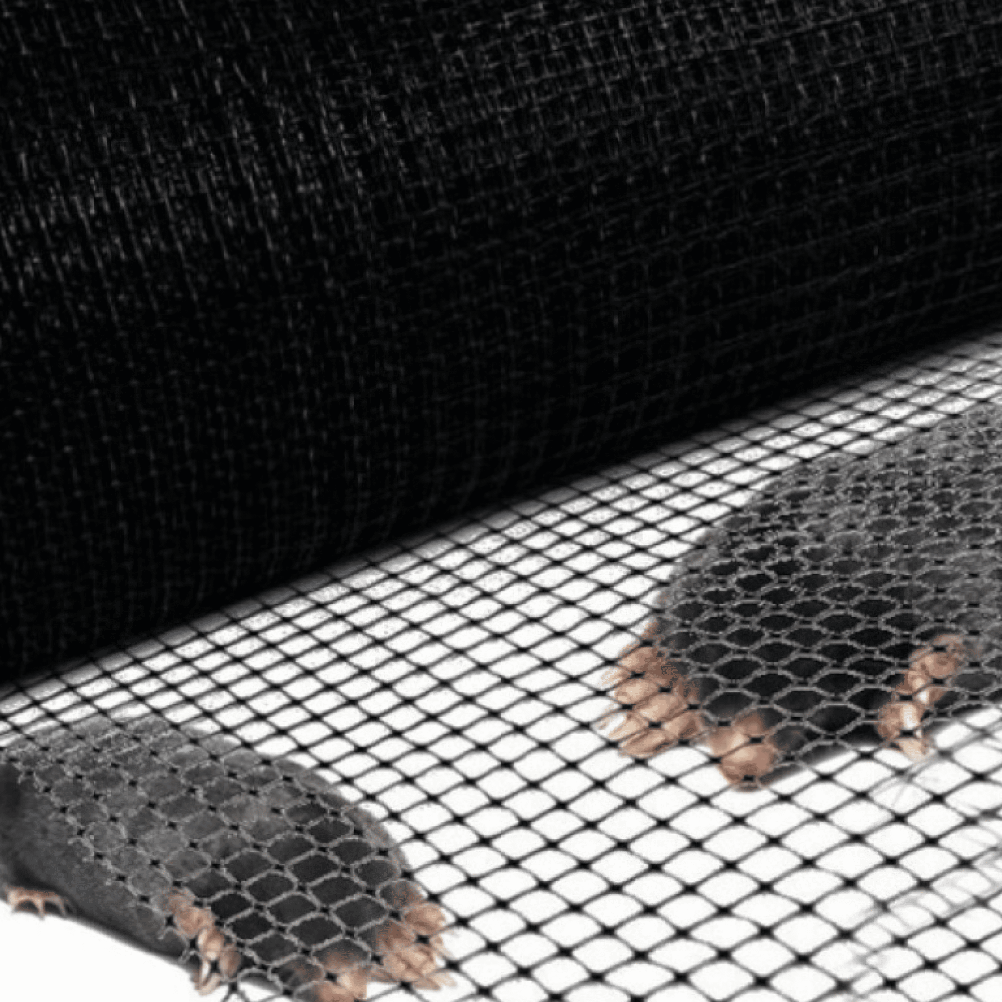 Сетка от кротов Alfasetka 2х50