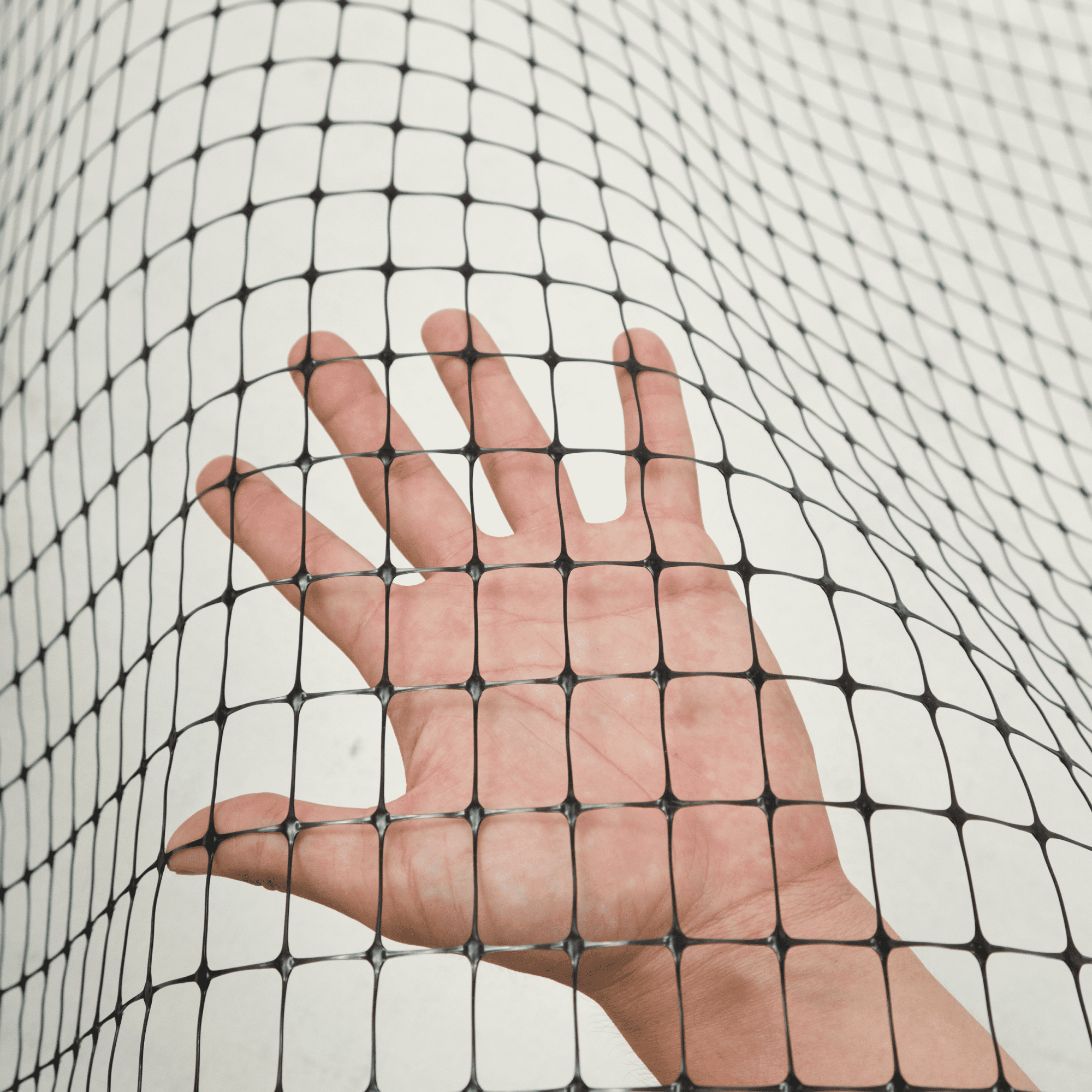 Вольерная сетка Alfasetka 1х50