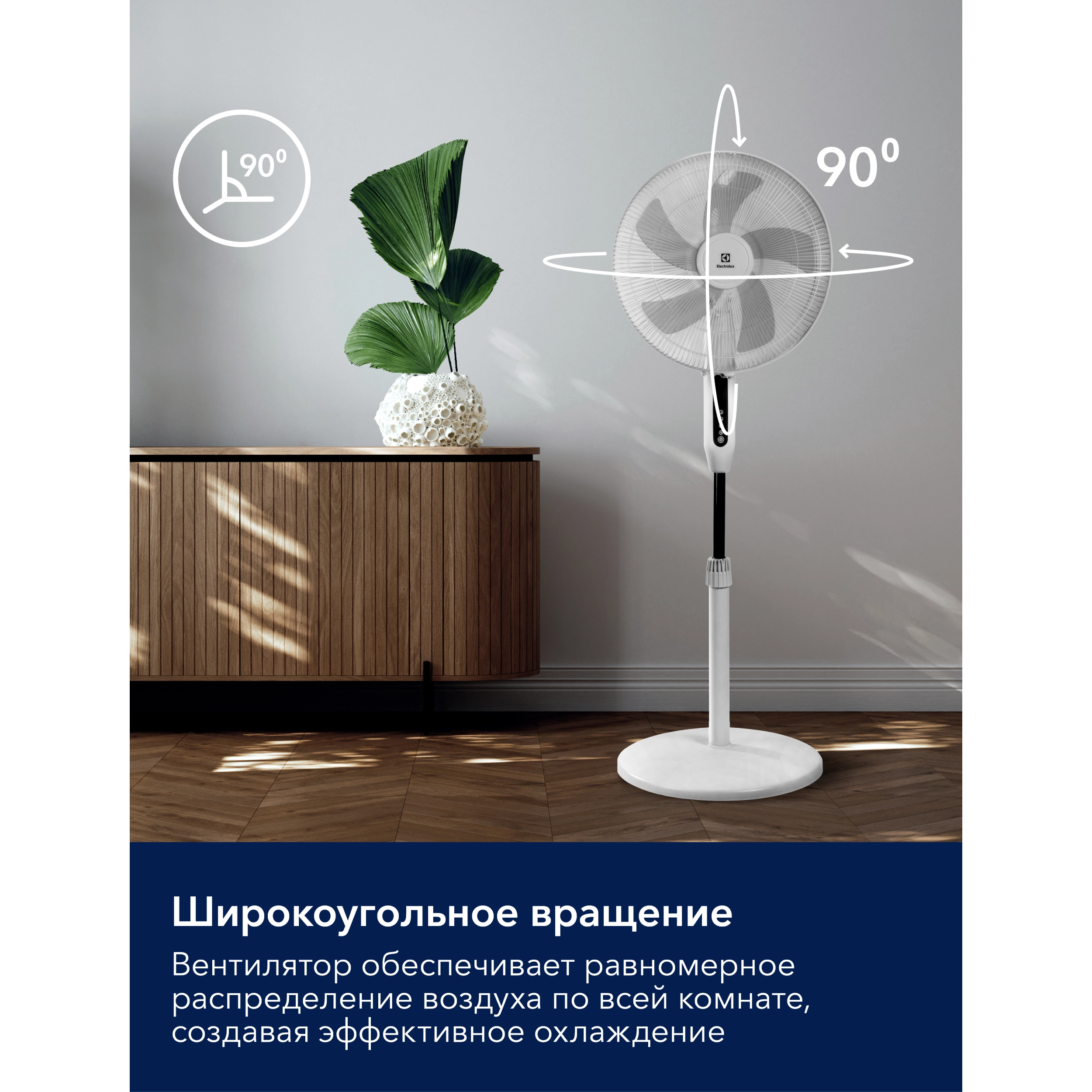 2026050806482241675.webp